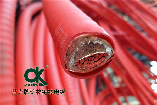 �V��^����|